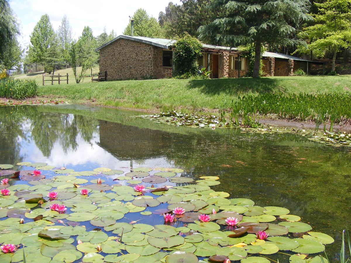 Meadow Lane Country Cottages Underberg Extérieur photo