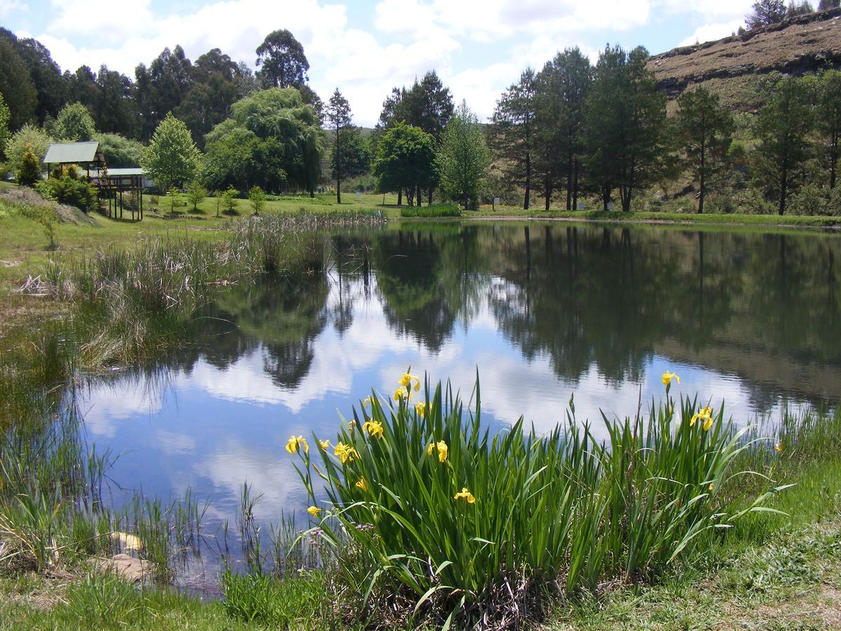 Meadow Lane Country Cottages Underberg Extérieur photo