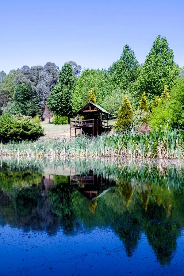 Meadow Lane Country Cottages Underberg Extérieur photo